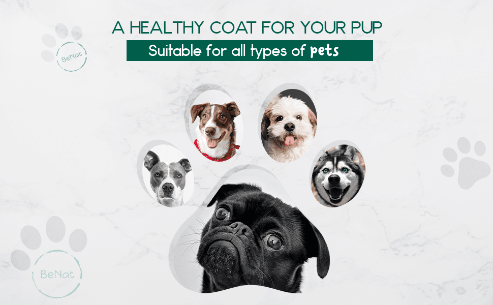 BeNat Pets. All-Natural Pet Shampoo Bar. Oat. 5.8 oz.-4