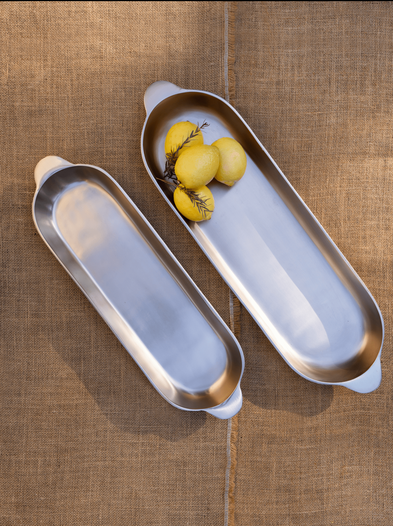 Stinson Nickel Long Trays - Set of 2