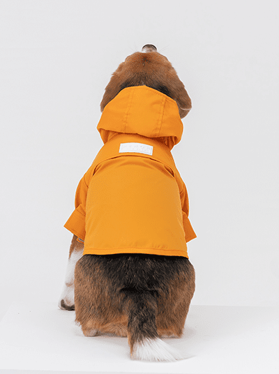 Tribeca adjustable velcro raincoat - Egg Yolk