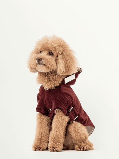 HUSTON HOODIE - DARK BURGUNDY