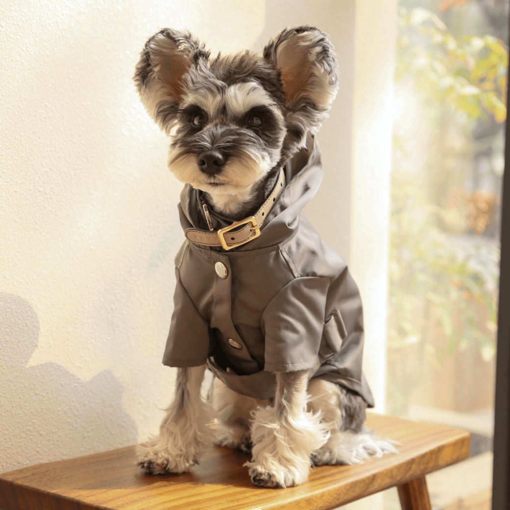 BOWERY RAINCOAT - GRAY