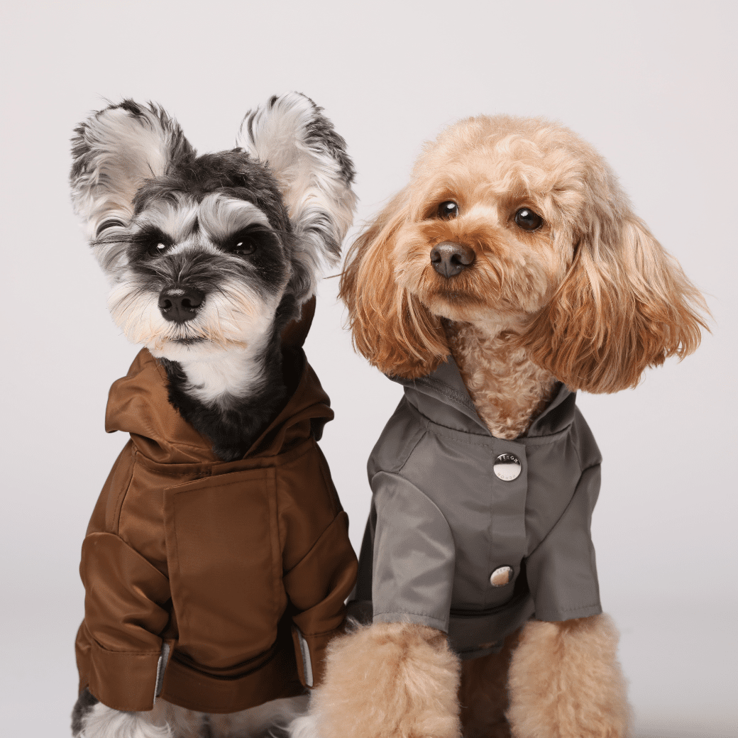 BOWERY RAINCOAT - GRAY