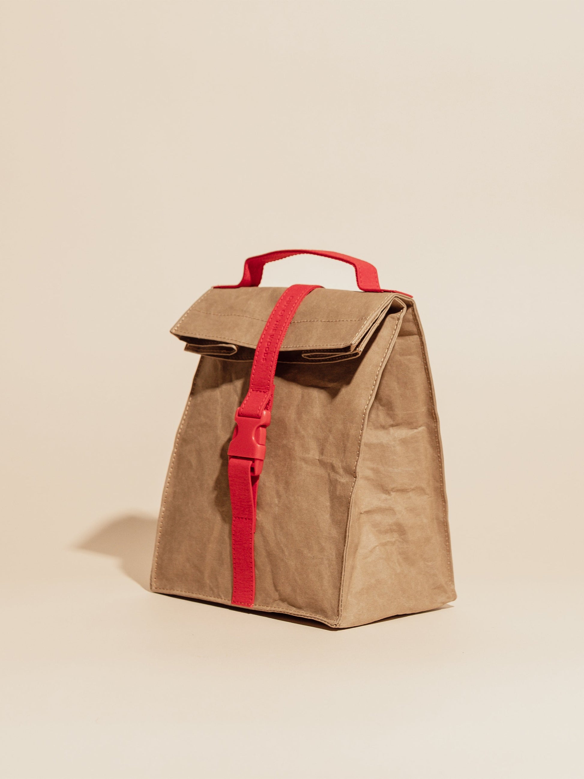 Paper Sack Lunch Cooler-2