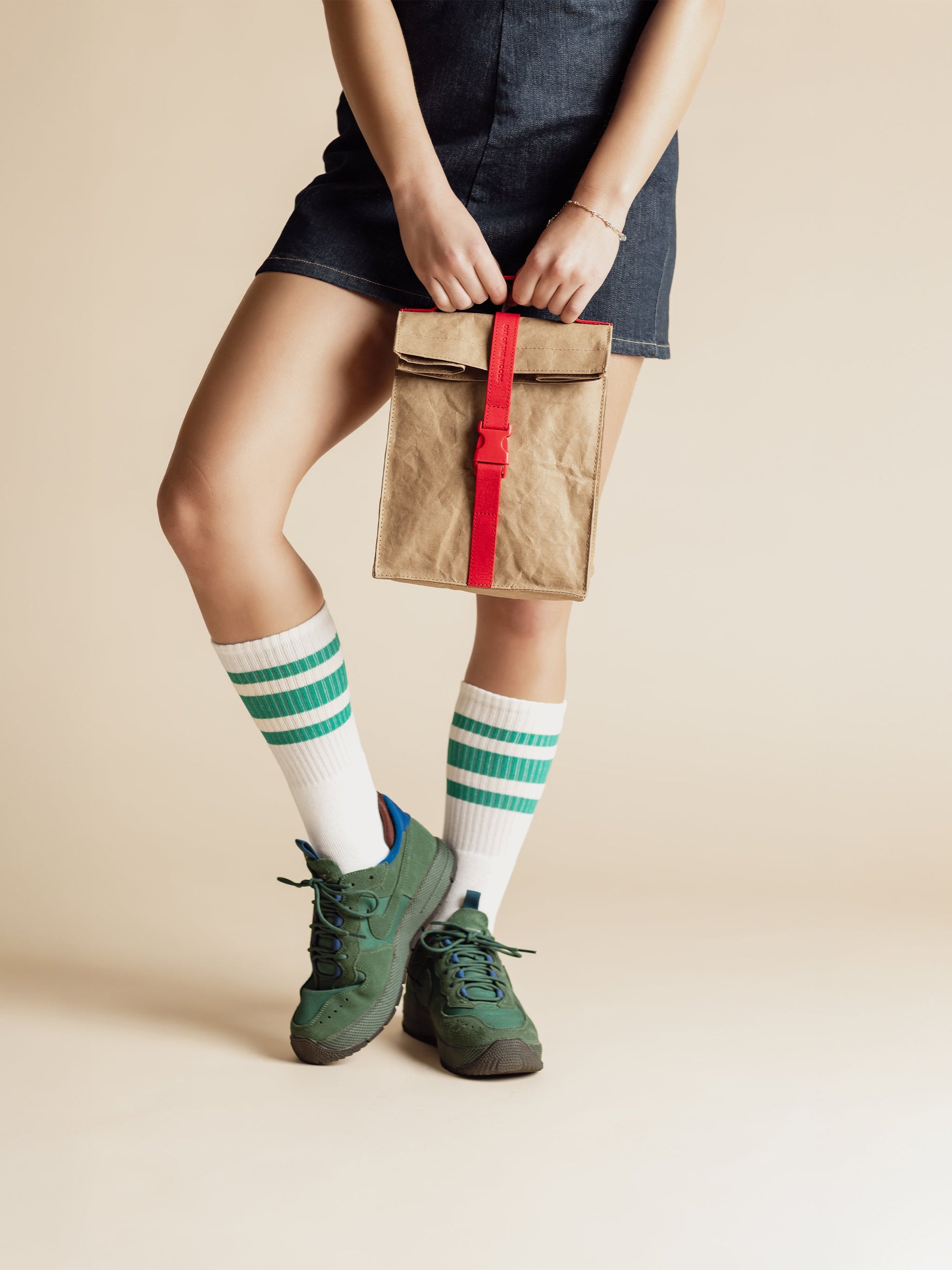 Paper Sack Lunch Cooler-1