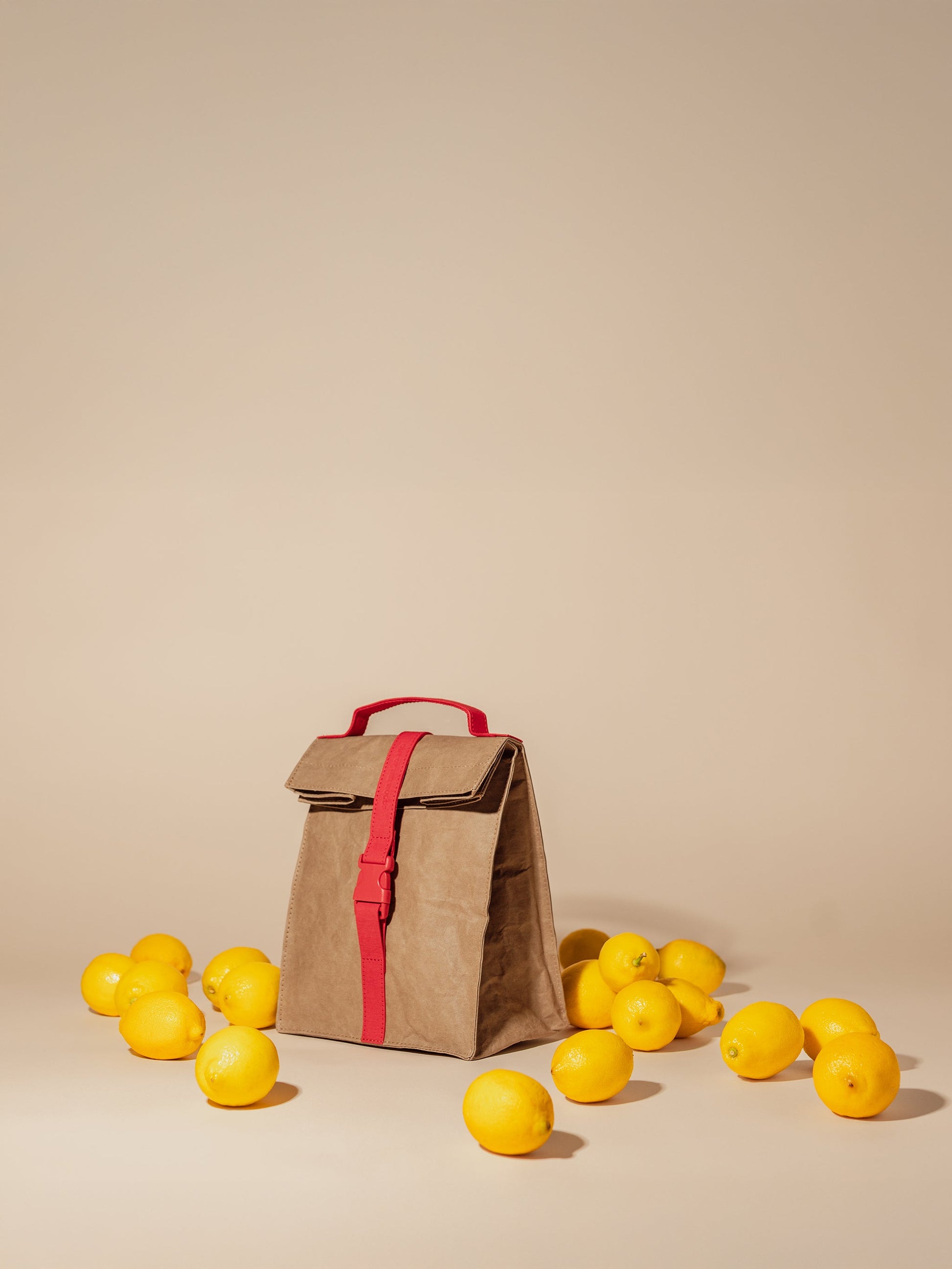 Paper Sack Lunch Cooler-3