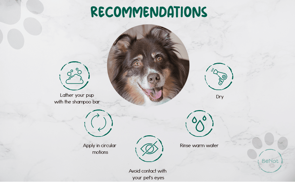 BeNat Pets. All-Natural Pet Shampoo Bar. Oat. 5.8 oz.-2