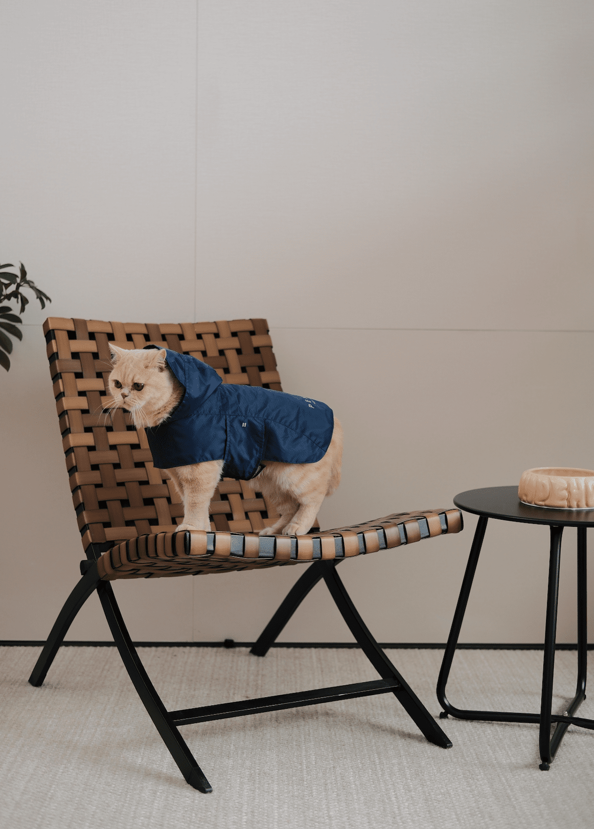Capsule Raincoat - Blue