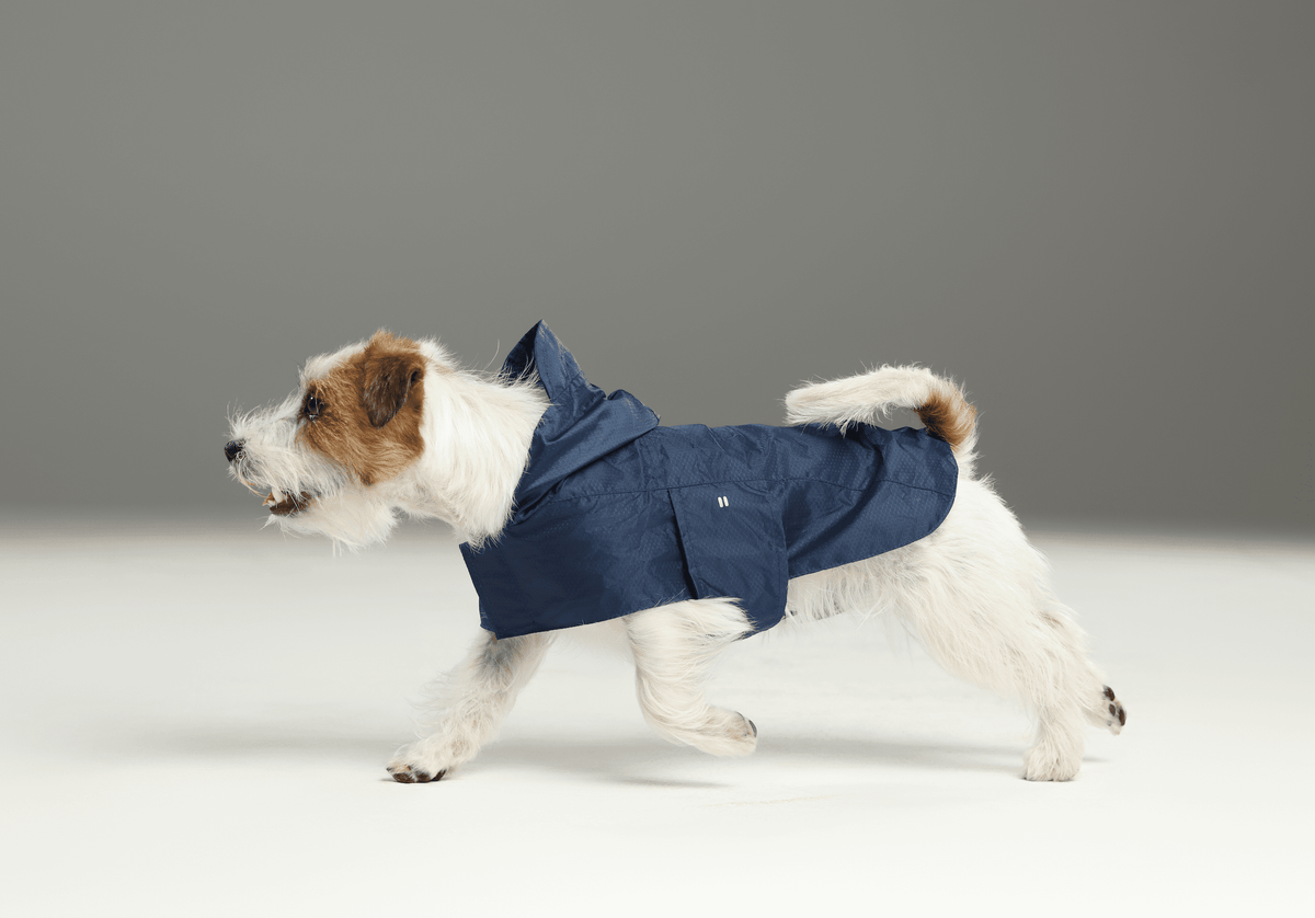 Capsule Raincoat - Blue