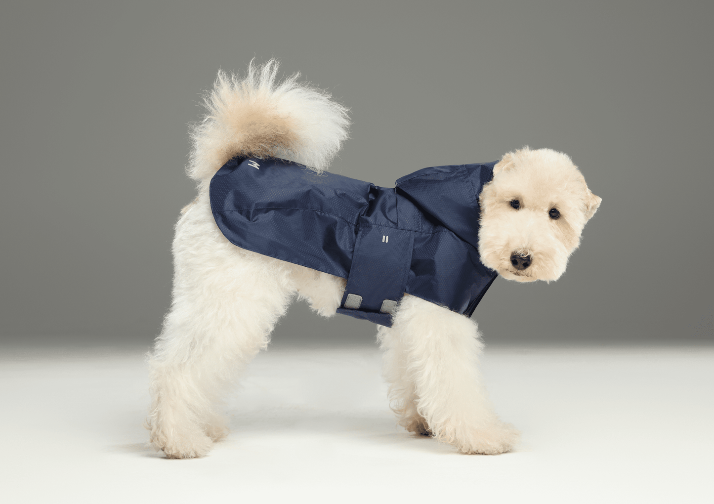 Capsule Raincoat - Blue