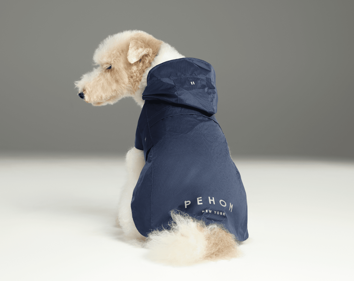 Capsule Raincoat - Blue