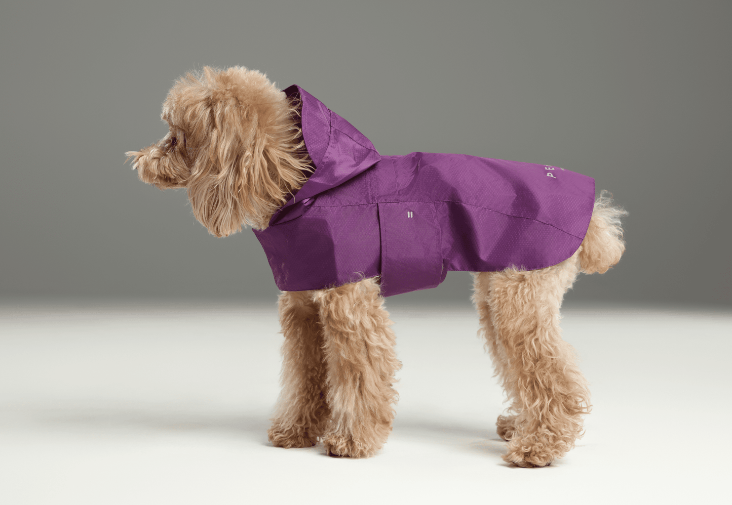 Capsule Raincoat - Purple