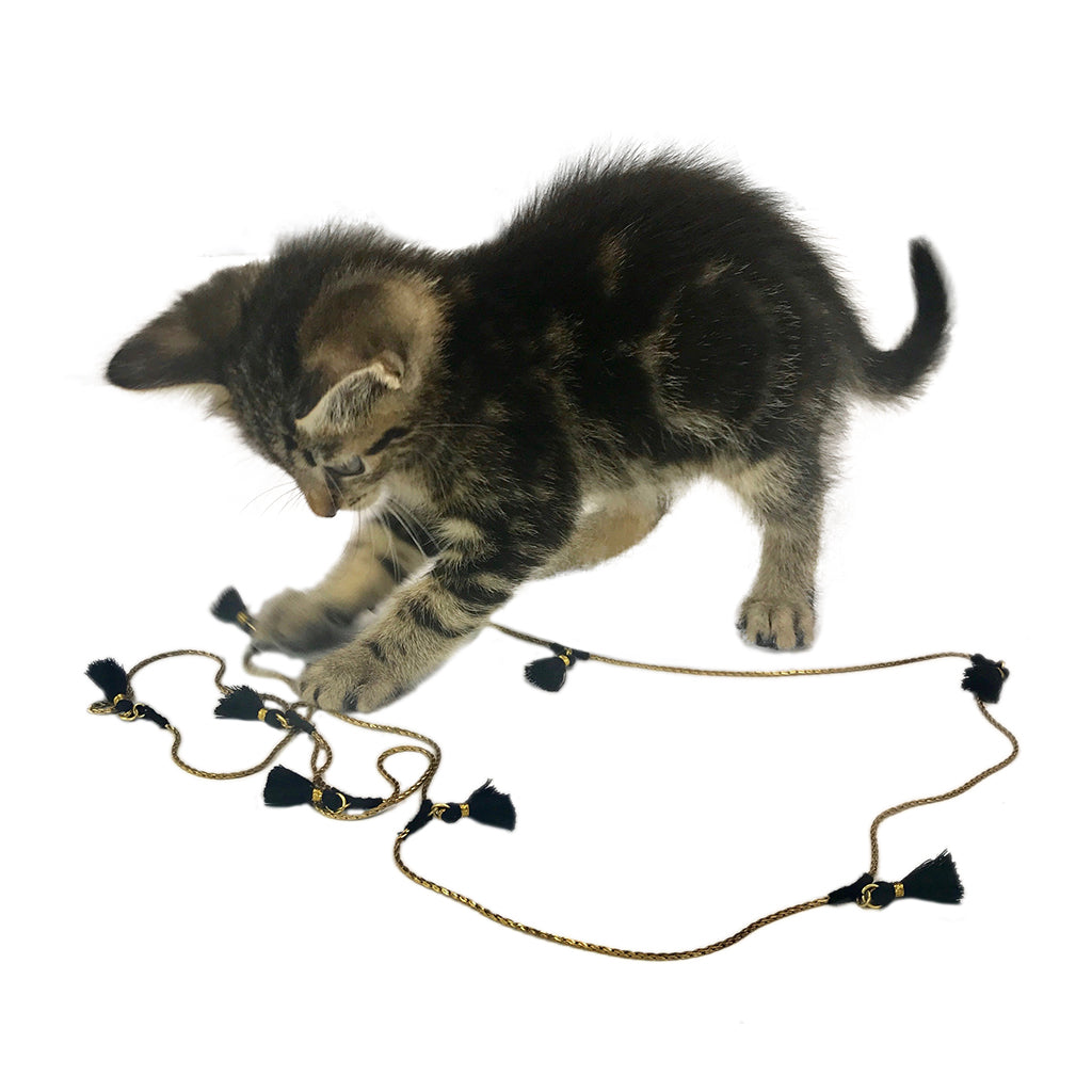 Tabby and white cat playing with gold rope pet toy necklace with black tassel accents